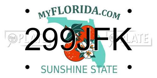 299JFK Florida License Plate