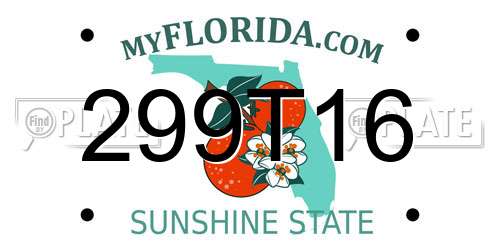 299T16 Florida License Plate