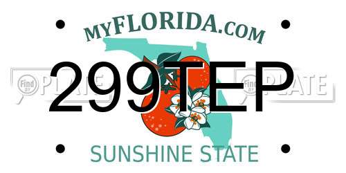 299TEP Florida License Plate