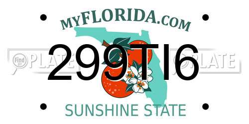299TI6 Florida License Plate