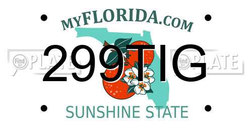 299TIG Florida License Plate