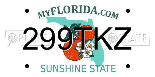 299TKZ Florida License Plate