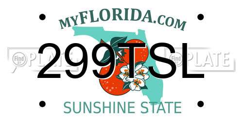 299TSL Florida License Plate
