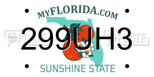 299UH3 Florida License Plate