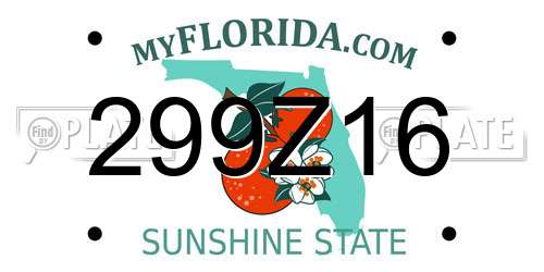 299Z16 Florida License Plate