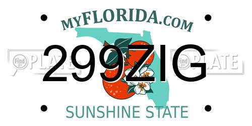 299ZIG Florida License Plate