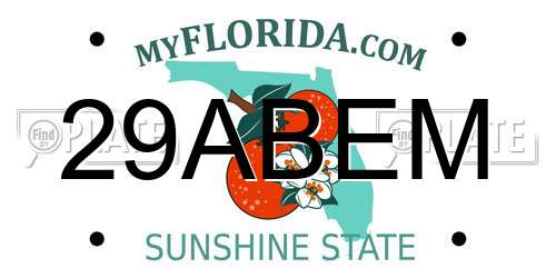 29ABEM Florida License Plate