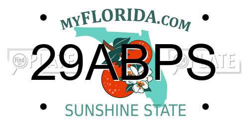 29ABPS Florida License Plate