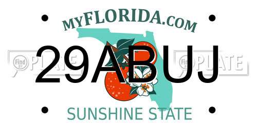 29ABUJ Florida License Plate