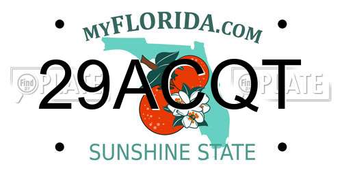 29ACQT Florida License Plate