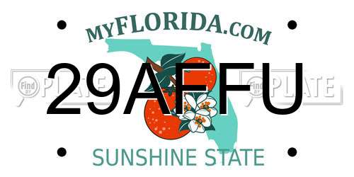29AFFU Florida License Plate