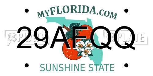 29AFQQ Florida License Plate