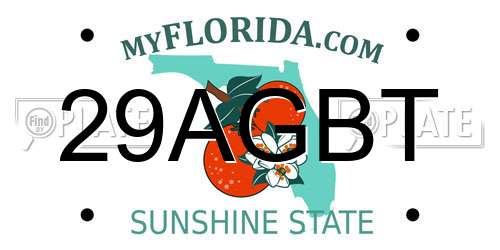 29AGBT Florida License Plate