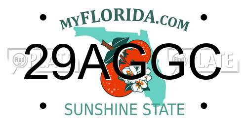 29AGGC Florida License Plate