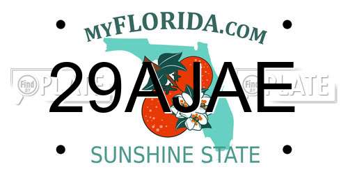 29AJAE Florida License Plate