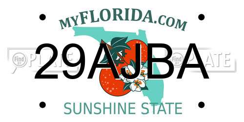 29AJBA Florida License Plate