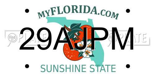 29AJPM Florida License Plate