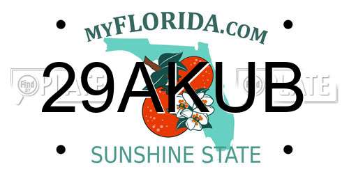 29AKUB Florida License Plate