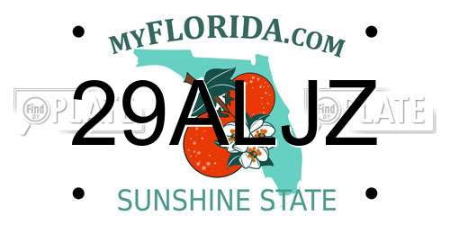 29ALJZ Florida License Plate