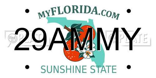29AMMY Florida License Plate