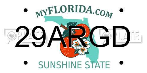 29ARGD Florida License Plate