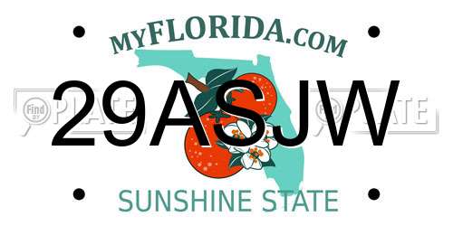 29ASJW Florida License Plate