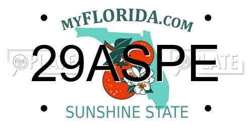 29ASPE Florida License Plate