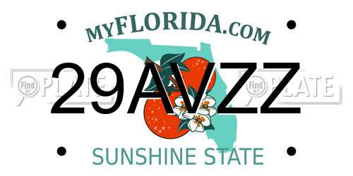 29AVZZ Florida License Plate
