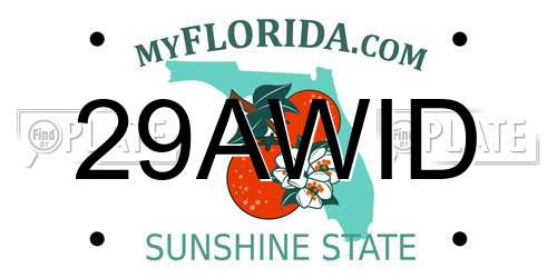 29AWID Florida License Plate