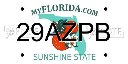 29AZPB Florida License Plate