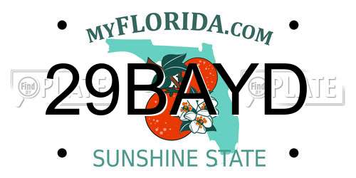 29BAYD Florida License Plate
