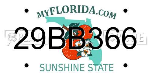 29BB366 Florida License Plate