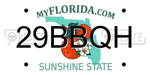 29BBQH Florida License Plate