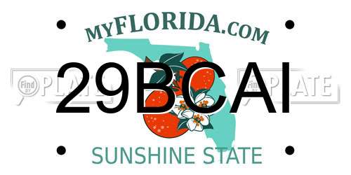 29BCAI Florida License Plate