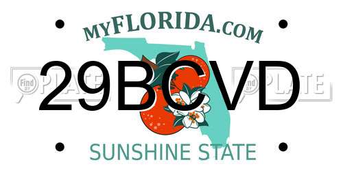 29BCVD Florida License Plate