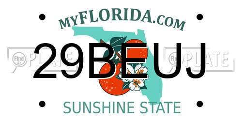 29BEUJ Florida License Plate