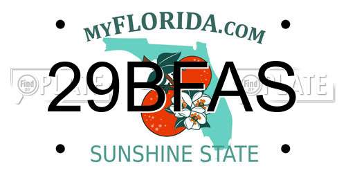 29BFAS Florida License Plate