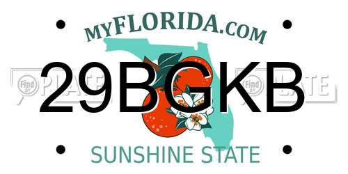29BGKB Florida License Plate