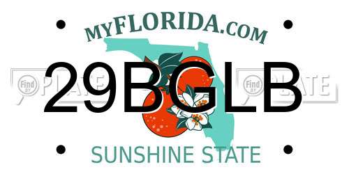 29BGLB Florida License Plate