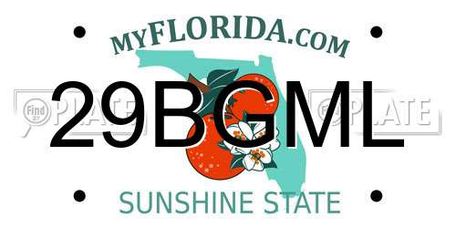 29BGML Florida License Plate