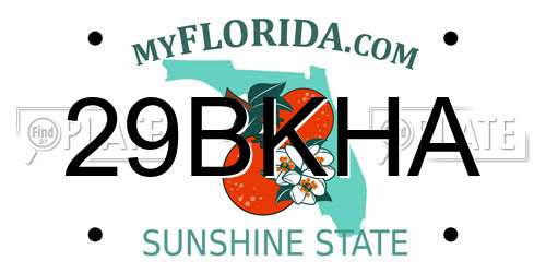 29BKHA Florida License Plate