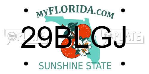 29BLGJ Florida License Plate