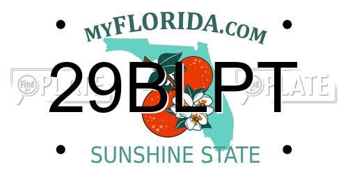 29BLPT Florida License Plate