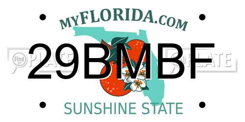 29BMBF Florida License Plate