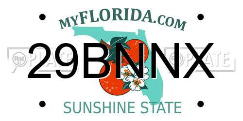 29BNNX Florida License Plate