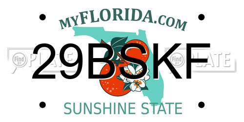 29BSKF Florida License Plate