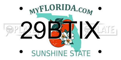 29BTIX Florida License Plate