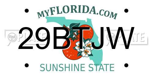 29BTJW Florida License Plate