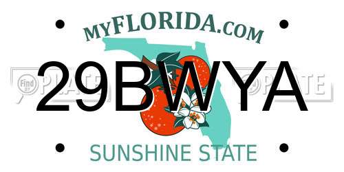 29BWYA Florida License Plate