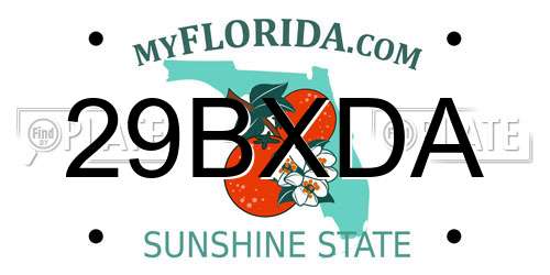 29BXDA Florida License Plate